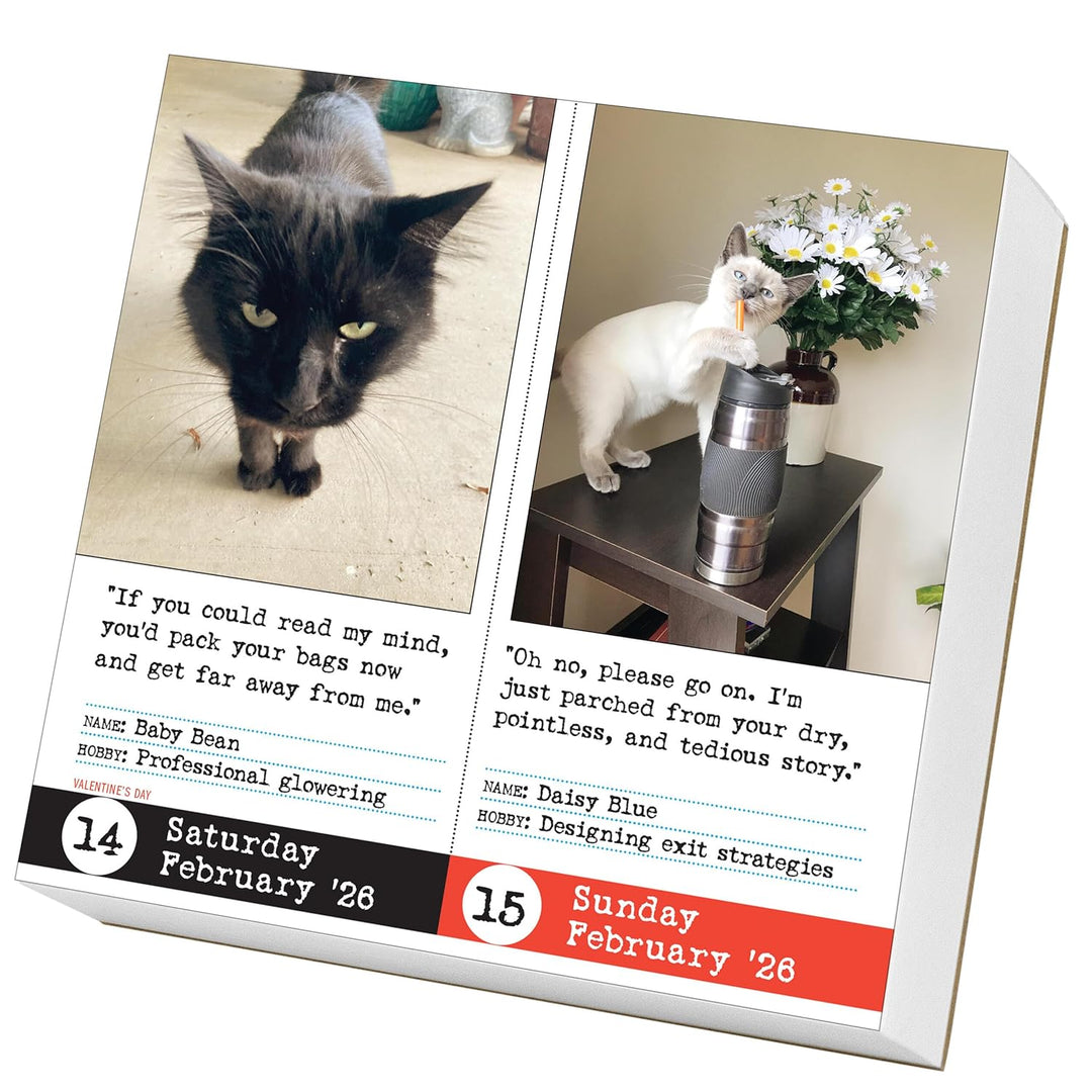 Page-A-Day Calendar 2026: Bad Cat