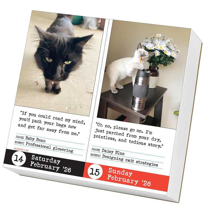 Page-A-Day Calendar 2026: Bad Cat