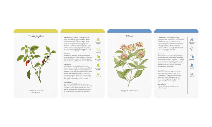 A Kitchen Full Of Herbs Card Deck - Just Fabulous Palm Springs