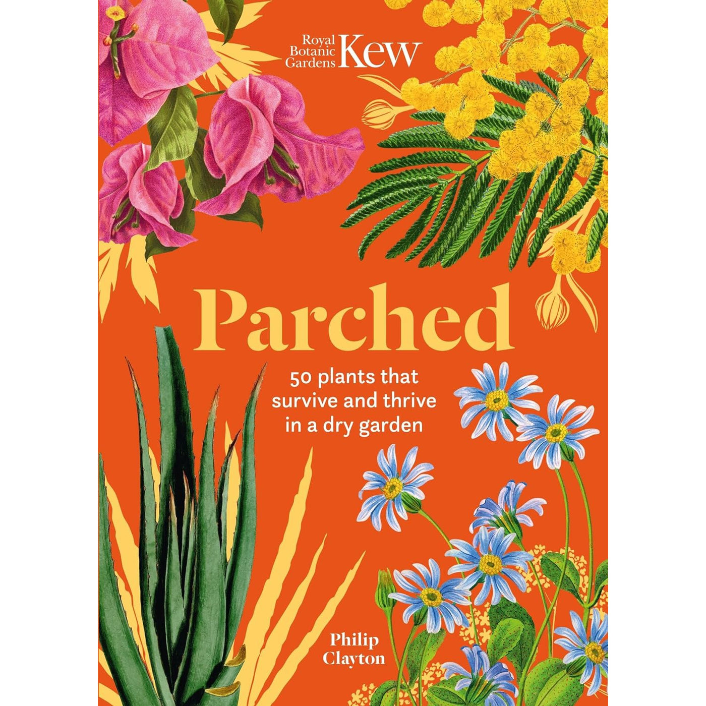 Parched: 50 Plants That Thrive And Survive In A Dry Garden