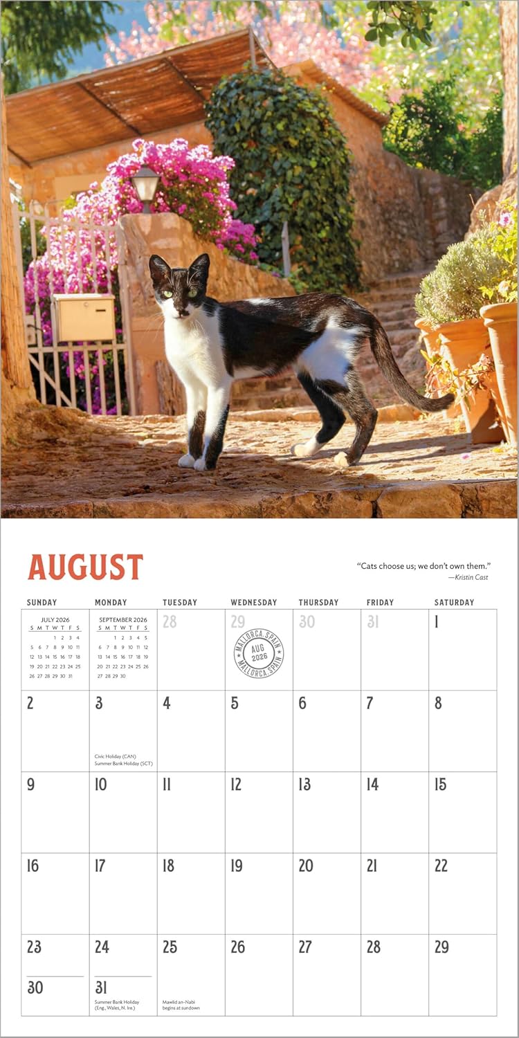 Wall Calendar 2026: Travel Cats