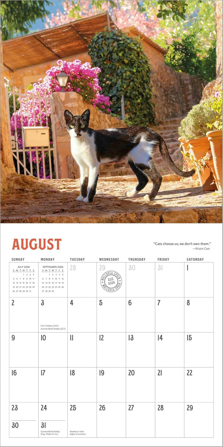 Wall Calendar 2026: Travel Cats