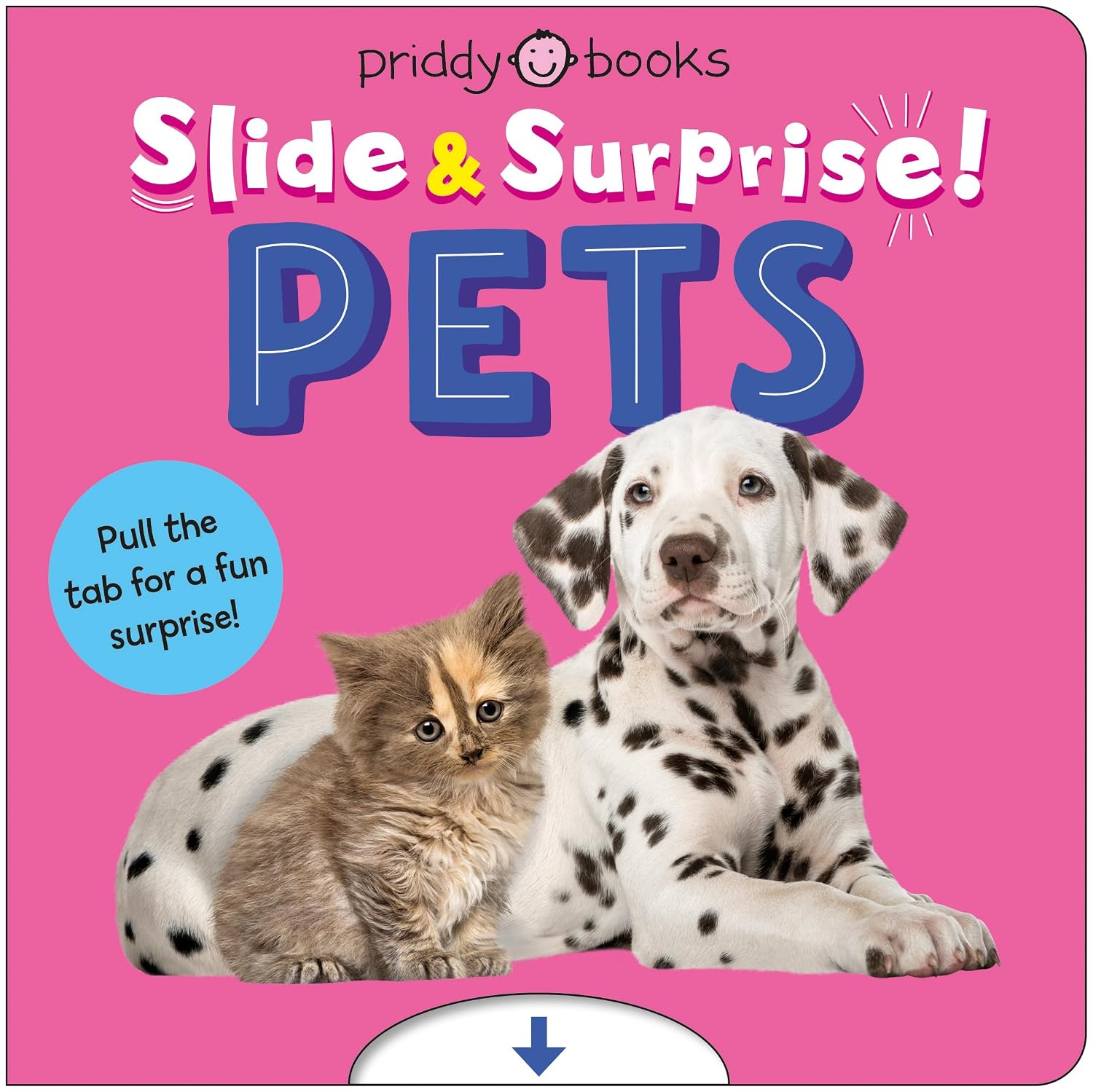 Pets Slide & Surprise!