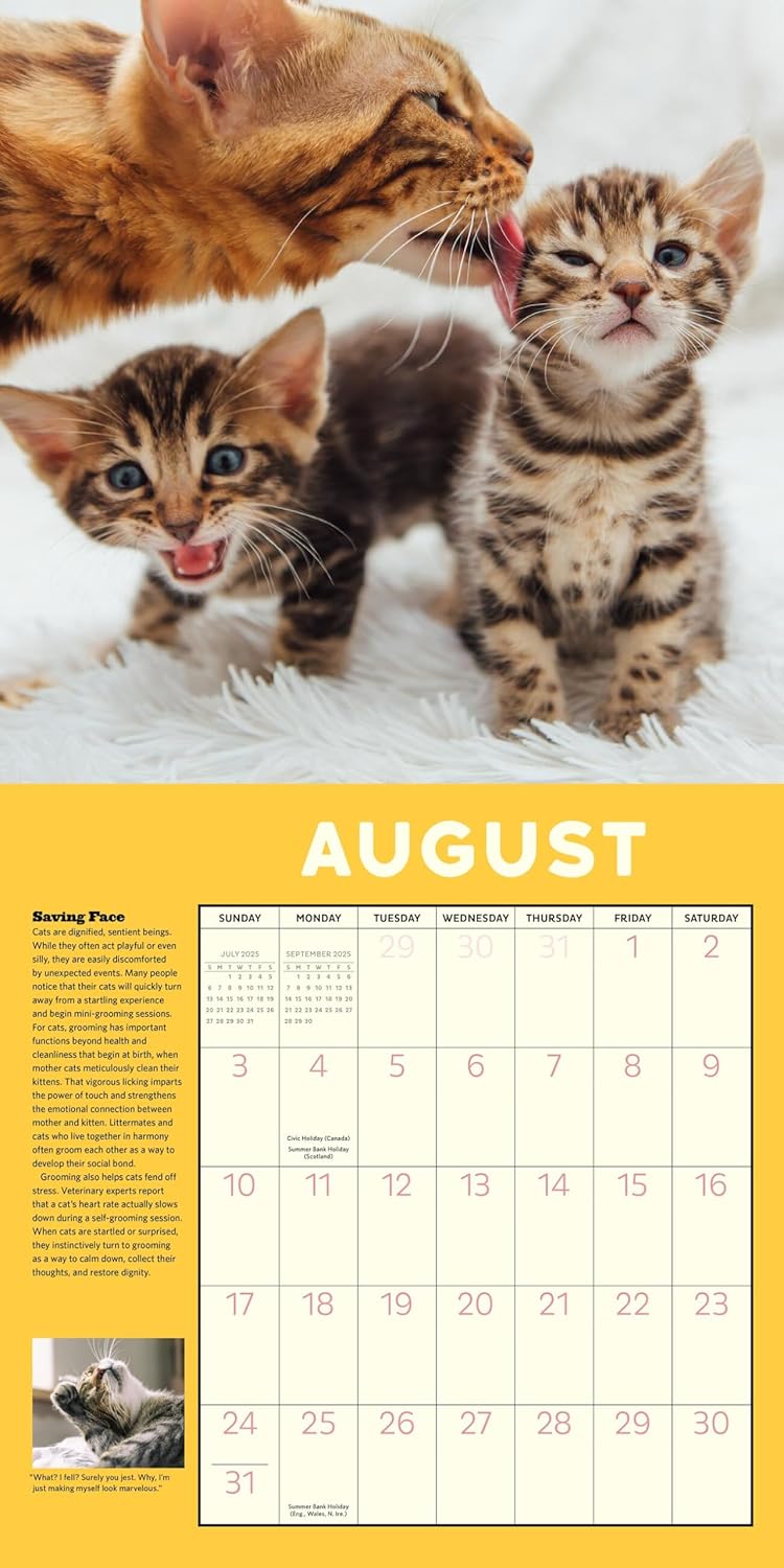 How To Speak Cat Wall Calendar 2025