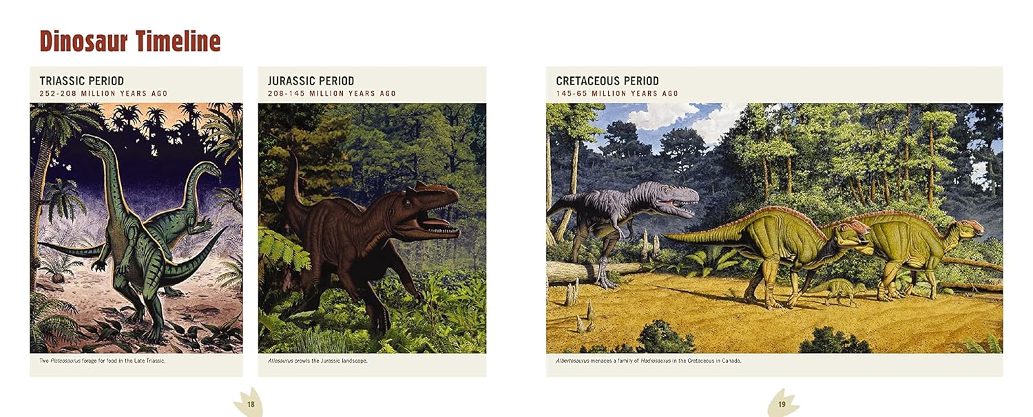 Discovering Dinosaur