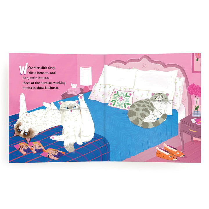 Karma Is Three Cats: Life According to Taylor Swift’s Kitty Best Friends