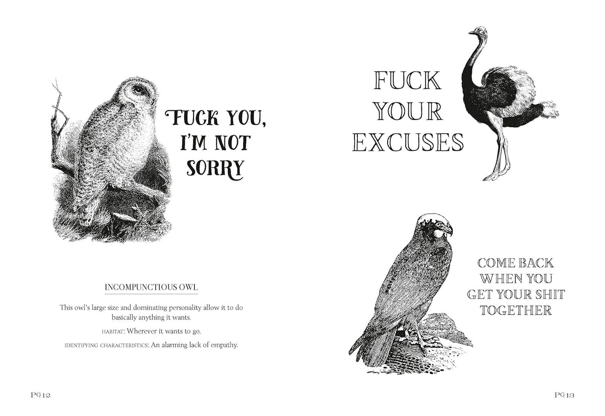 Effin' Birds