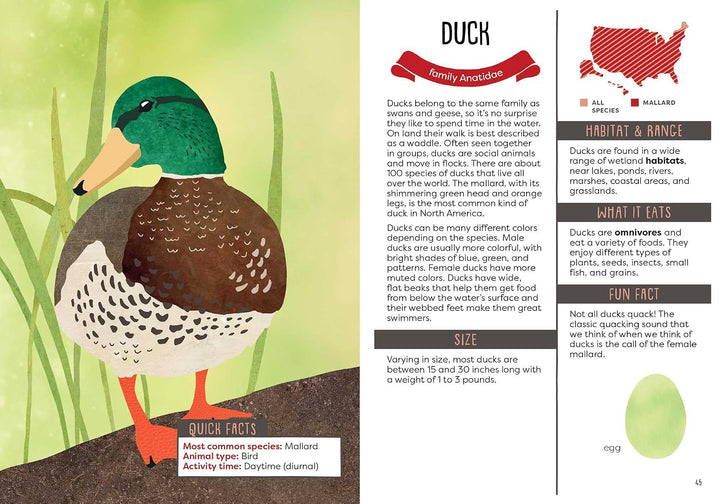 A Kid's Guide To Backyard Animals