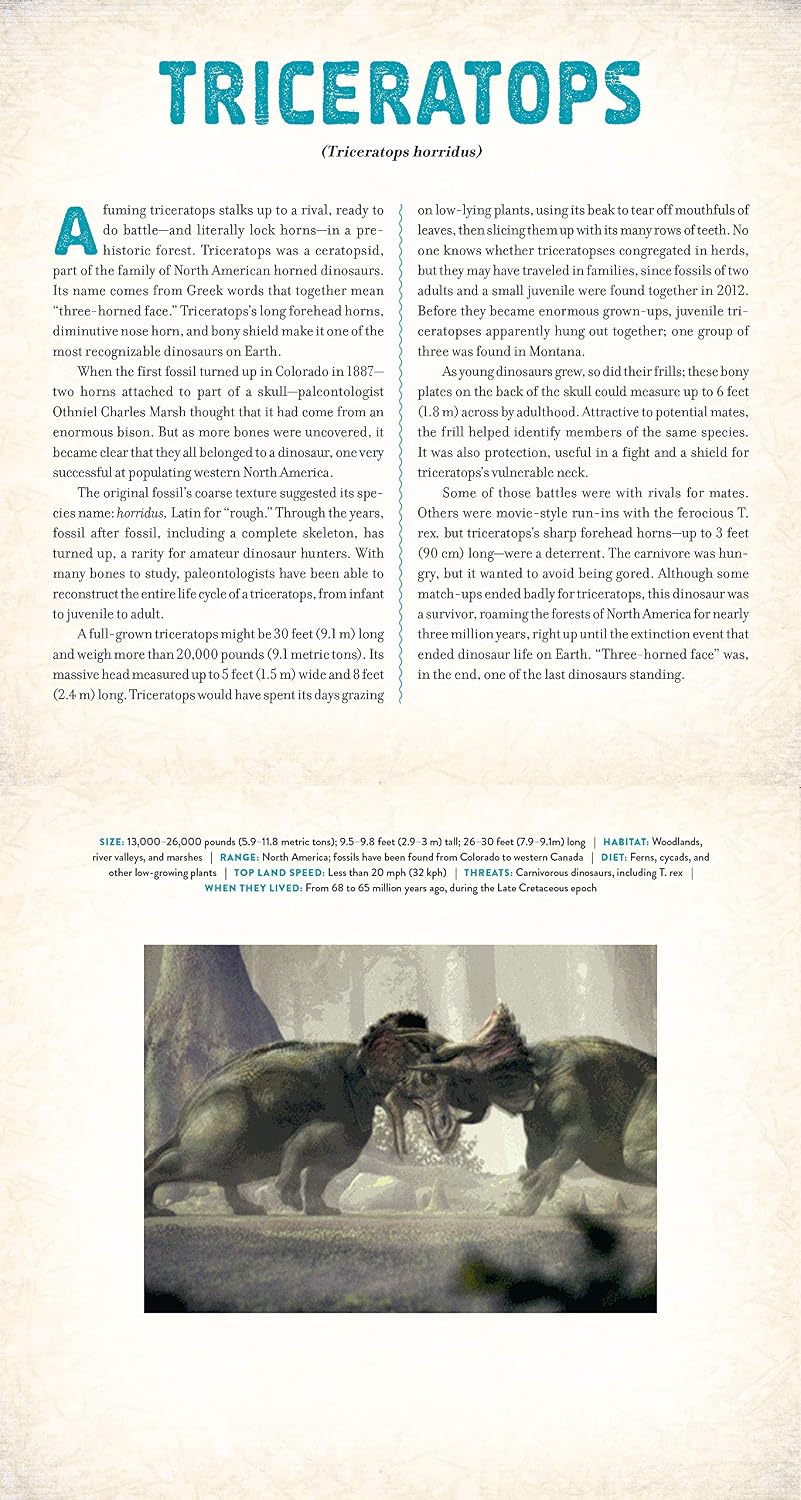 Dinosaur - Photicular Book