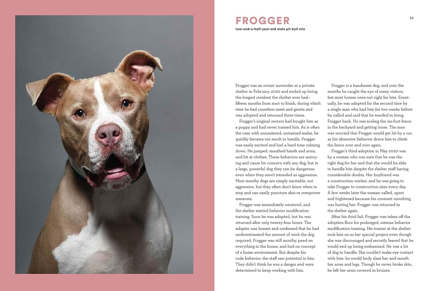 Forever Home: The Inspiring Tales Of Rescue Dogs