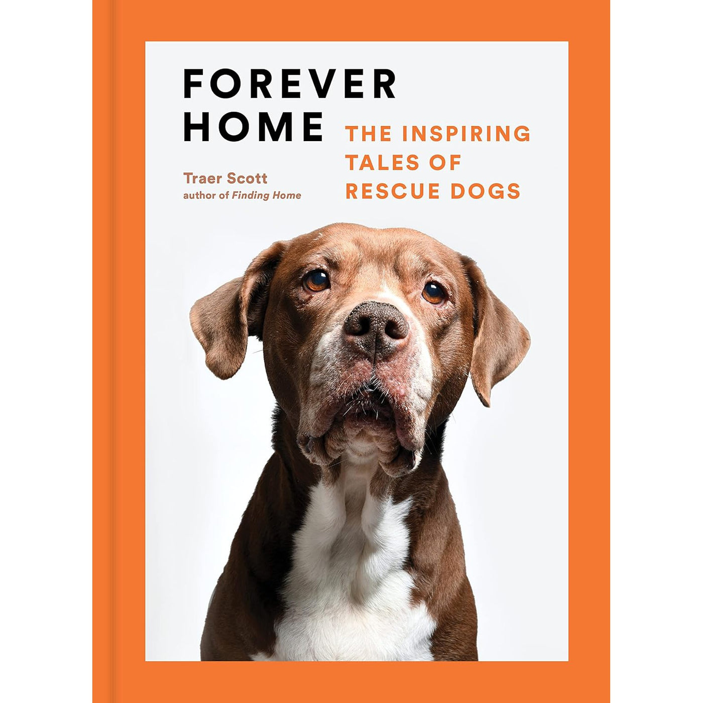 Forever Home: The Inspiring Tales Of Rescue Dogs