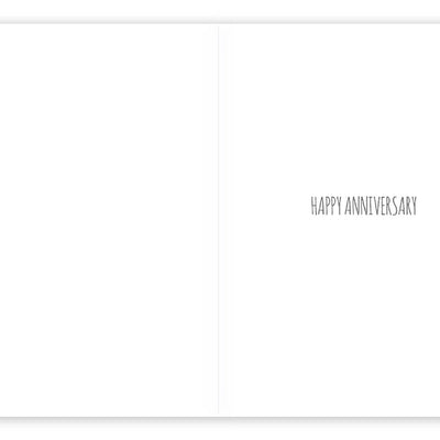 Anniversary Swans Seagull Greeting Card