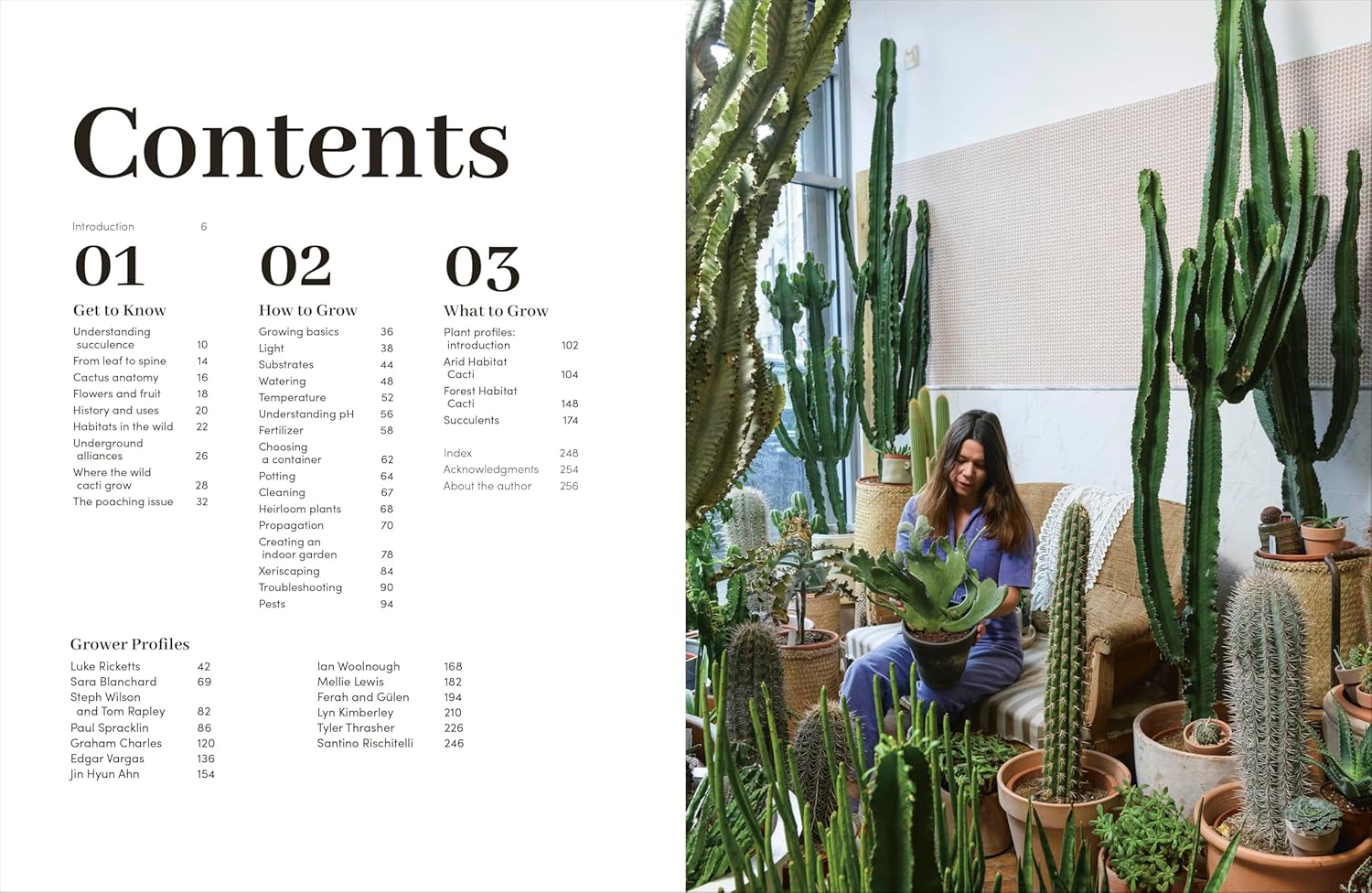 Cacti And Succulents: On-point Advice To Keep Your Plants Looking Sharp