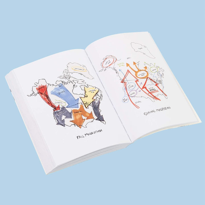 The Field Guide To Dumb Birds Of North America