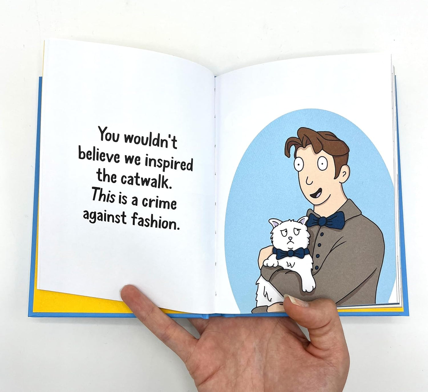 Why Your Cat Thinks You're An Idiot