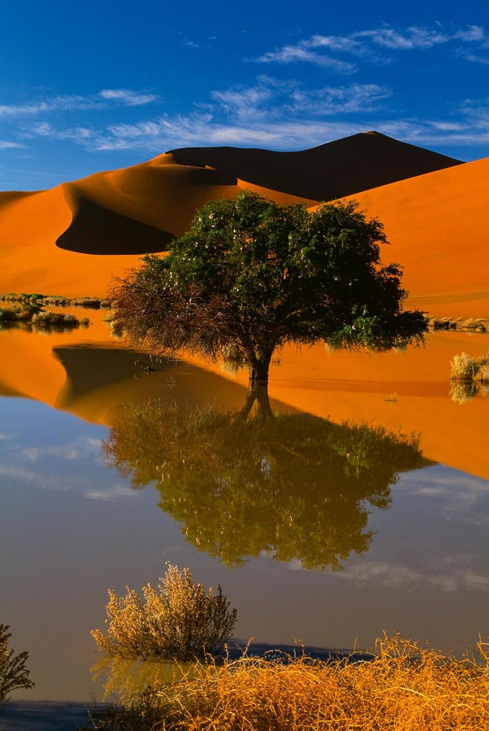 Deserts: The World's Most Fascinating Places
