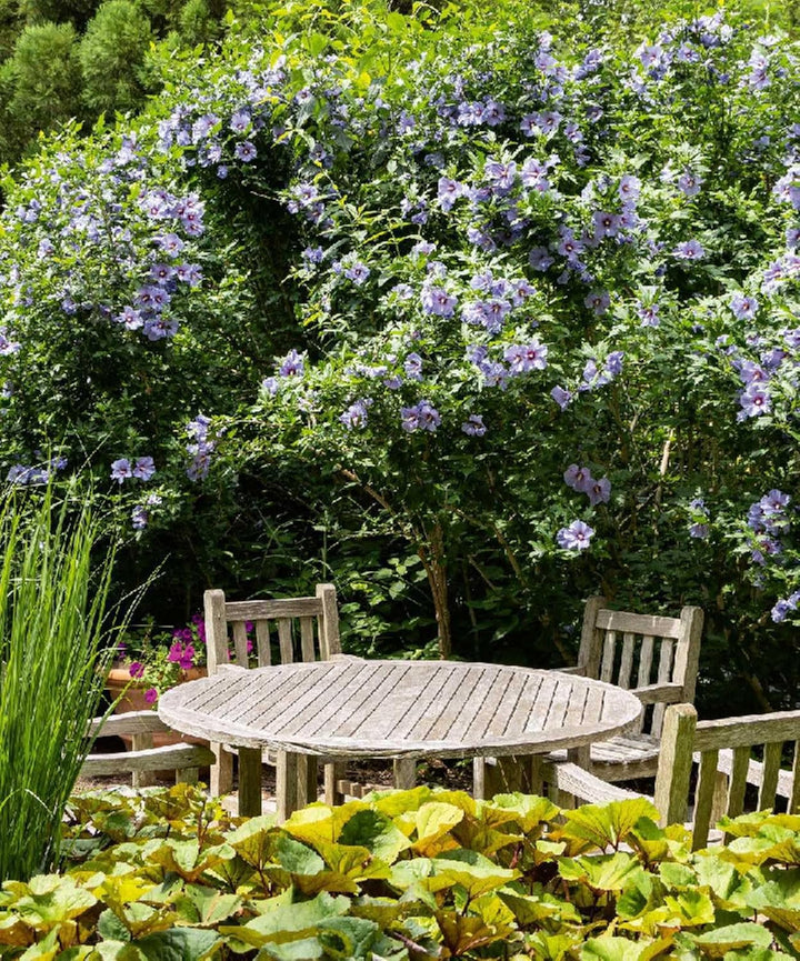 The Gardens Of The Hamptons: Grand Estates, Village Jewels, And Public Sanctuaries