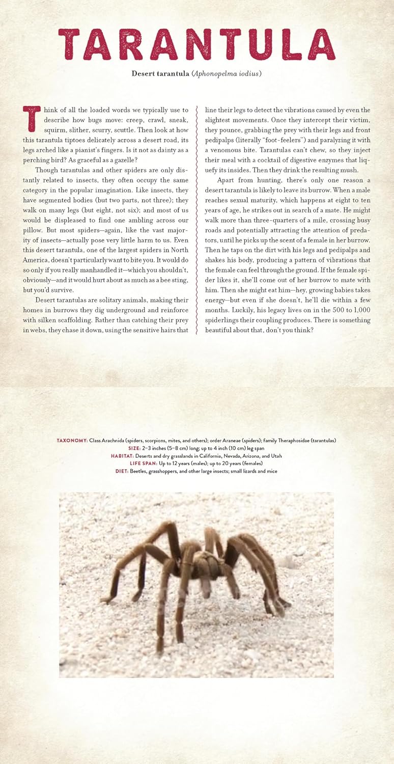 Bugs - Photicular Book