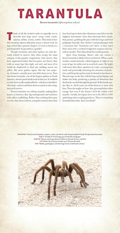 Bugs - Photicular Book