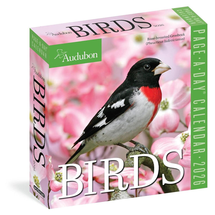 Page-A-Day Calendar 2026: Audubon Birds