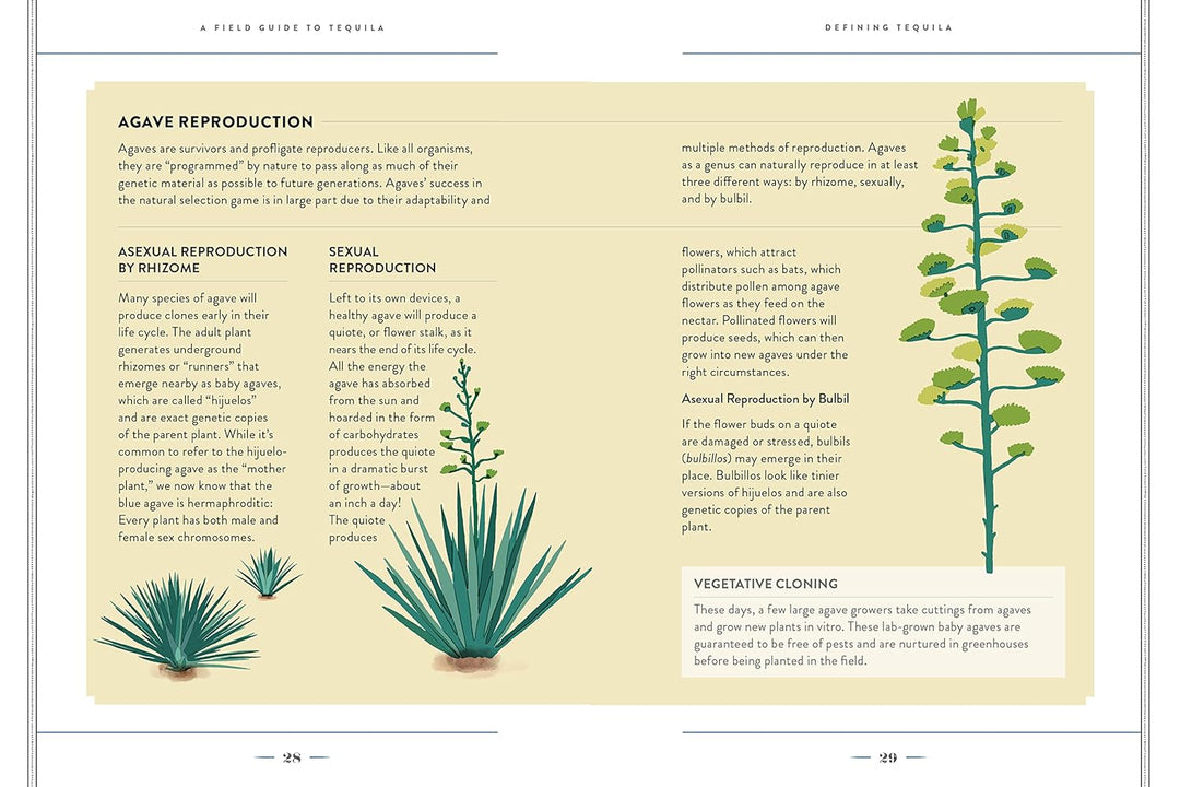 A Field Guide To Tequila
