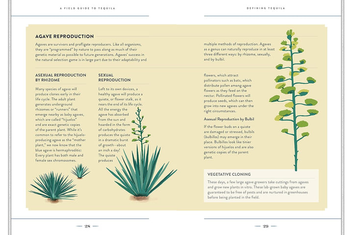 A Field Guide To Tequila