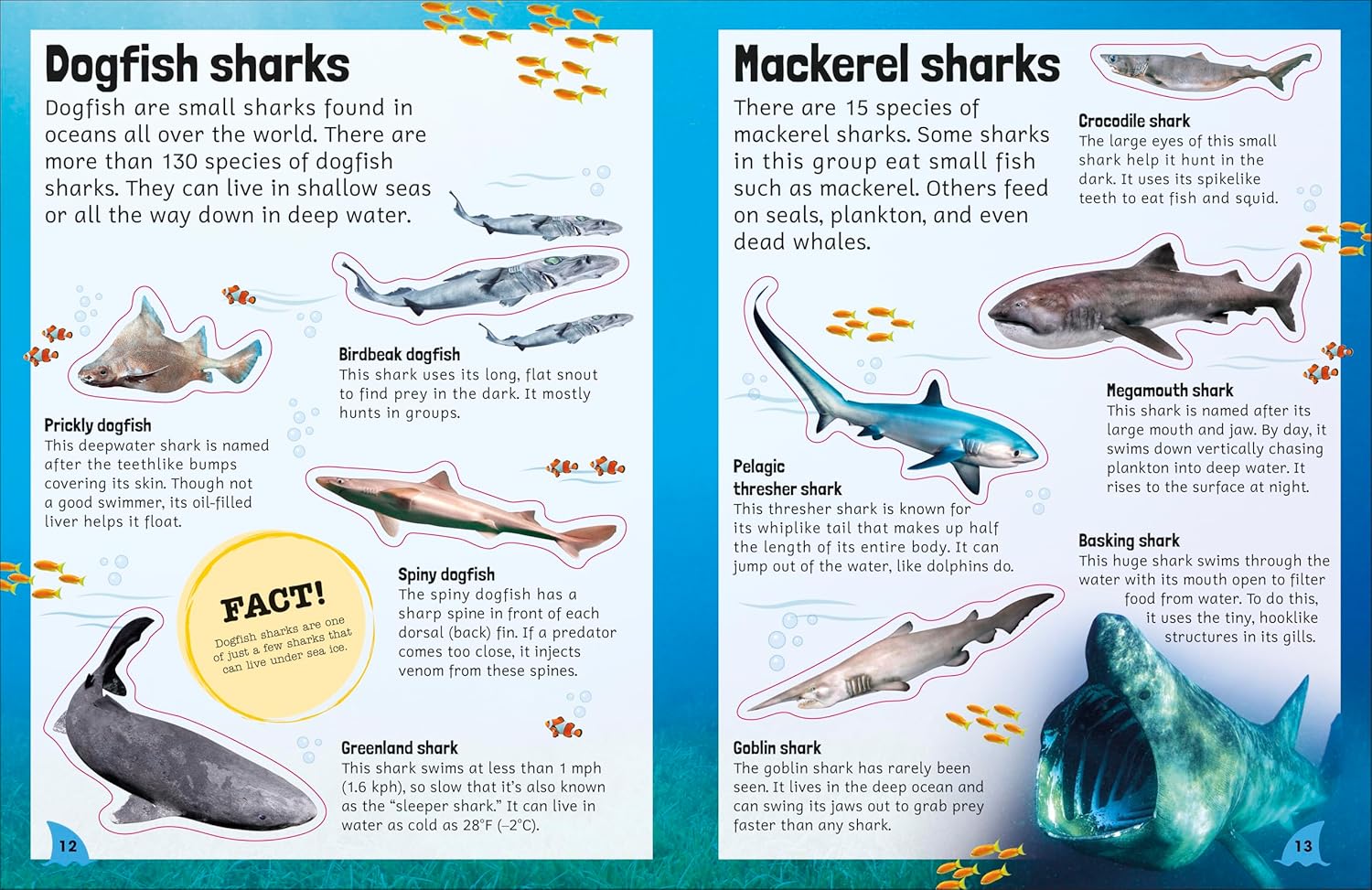 Sticker Encyclopedia: Sharks - Just Fabulous Palm Springs