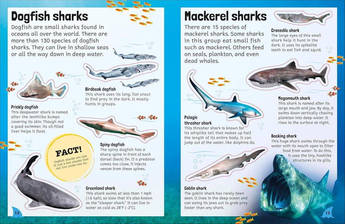 Sticker Encyclopedia: Sharks - Just Fabulous Palm Springs