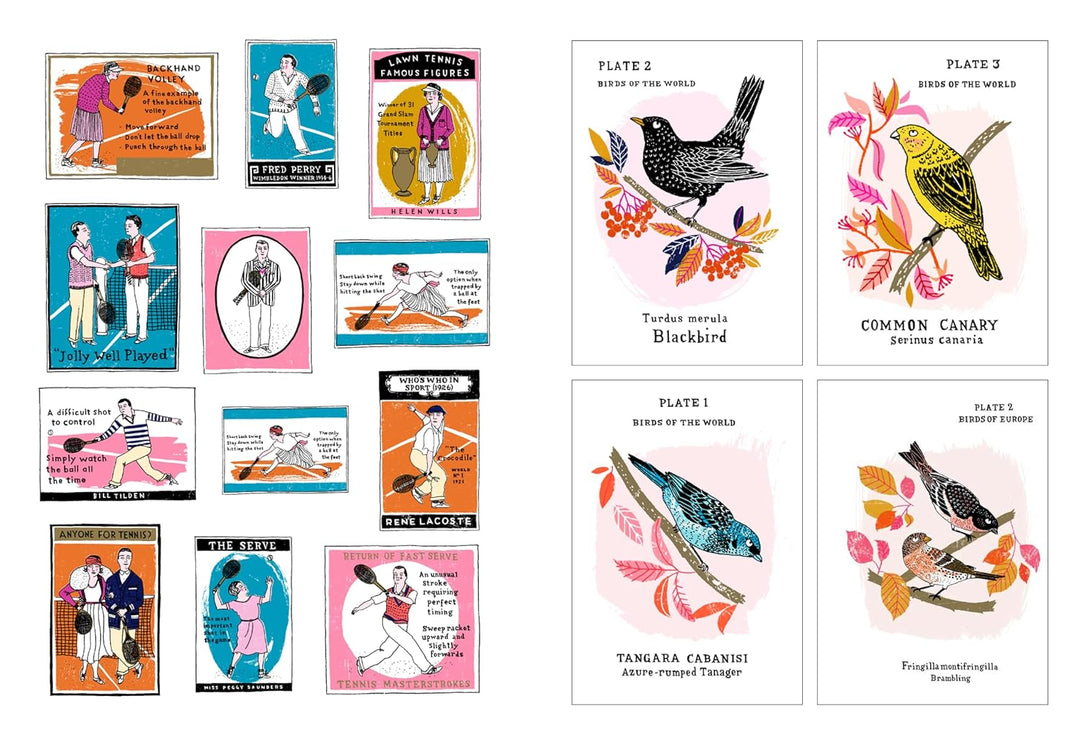 Grumpy Cats And Other Stuff: A Little Sticker Book