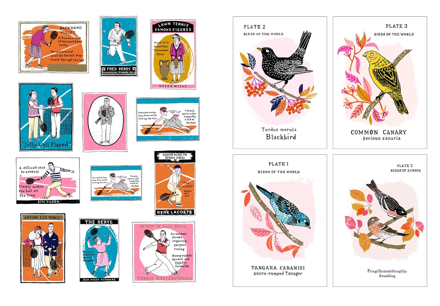 Grumpy Cats And Other Stuff: A Little Sticker Book
