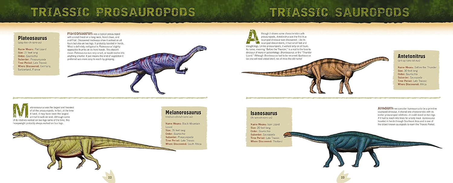 Discovering Dinosaur