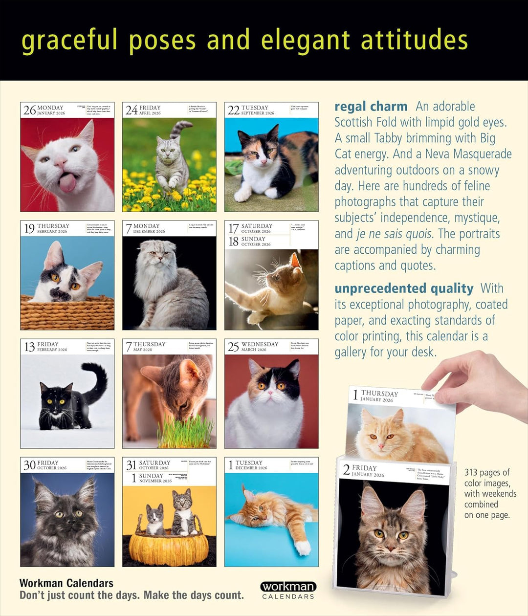 Page-A-Day Gallery Calendar 2026: Cats
