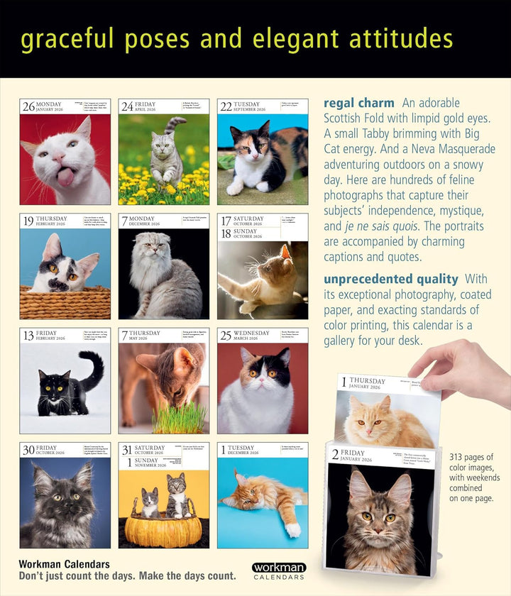 Page-A-Day Gallery Calendar 2026: Cats
