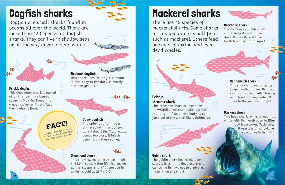 Sticker Encyclopedia: Sharks - Just Fabulous Palm Springs