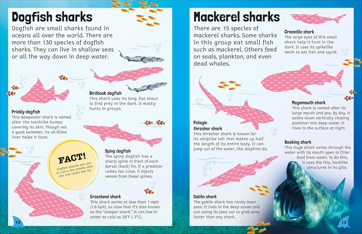 Sticker Encyclopedia: Sharks