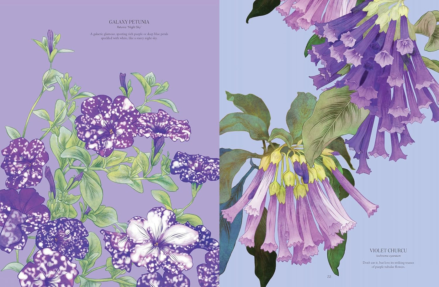 Petal: The World Of Flowers Through An Artist's Eye