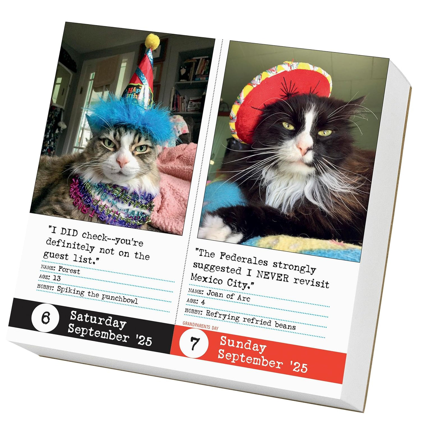 Bad Cat Page-A-Day Calendar 2025