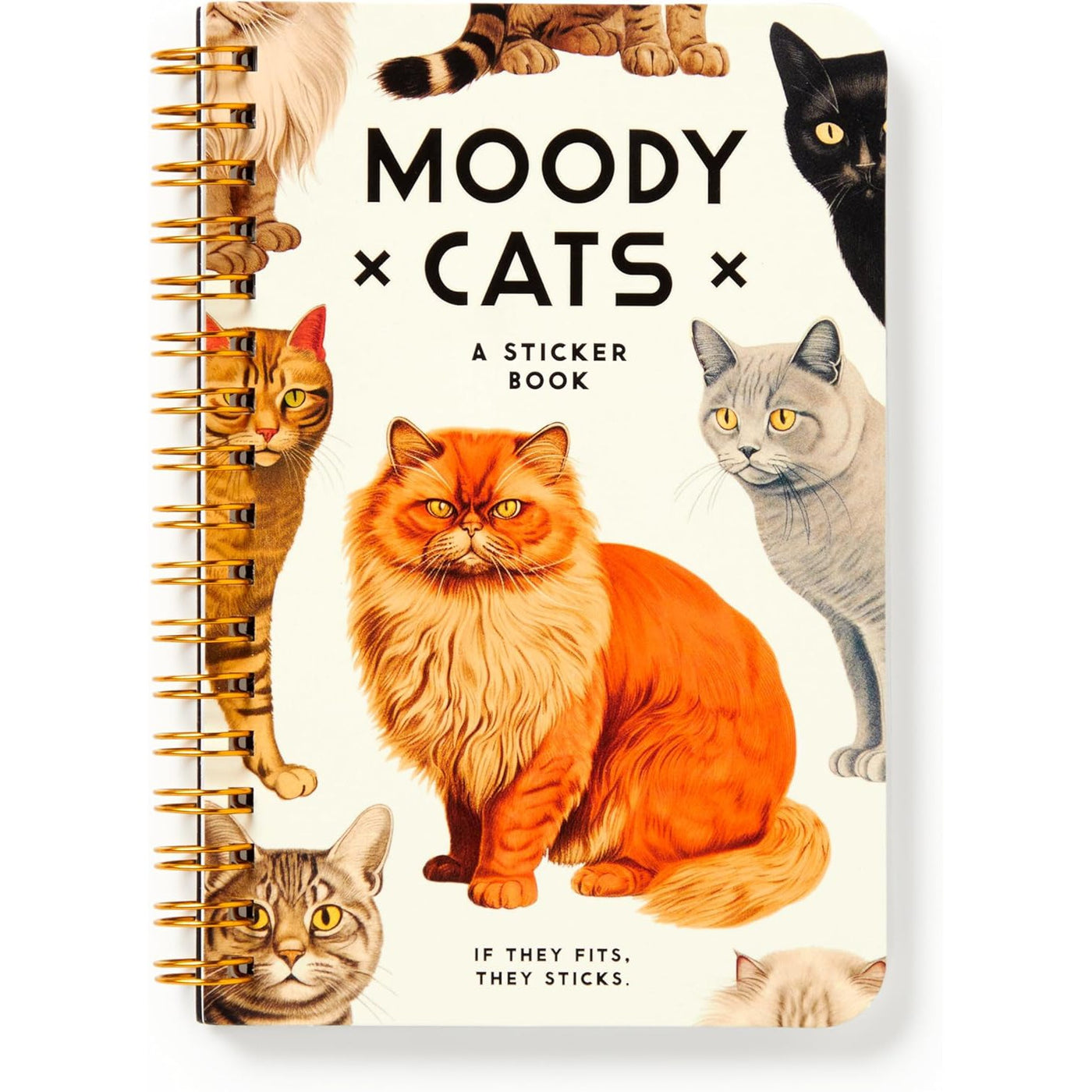 Moody Cats Sticker Book