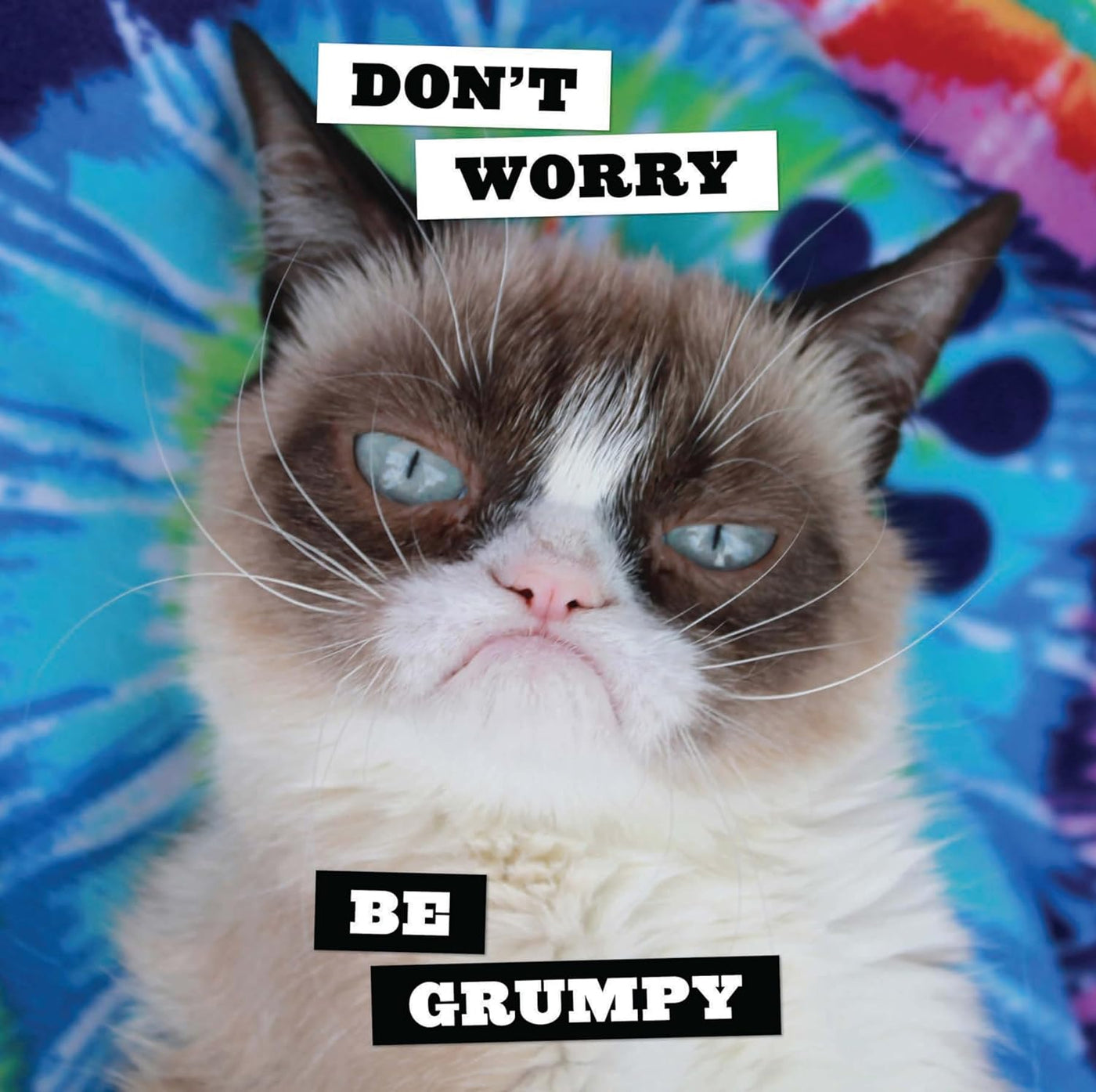 Grumpy Cat 2025 Wall Calendar