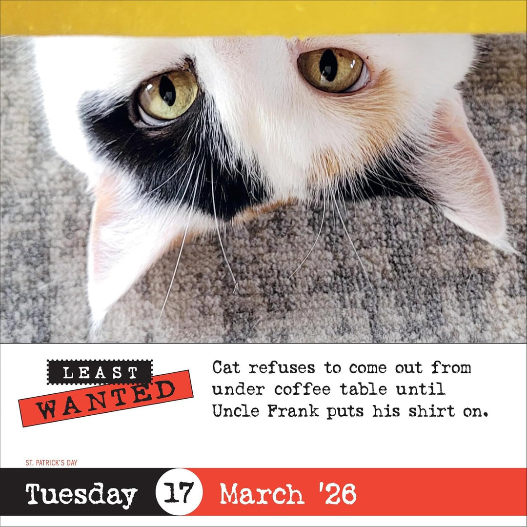 Page-A-Day Calendar 2026: Bad Cat