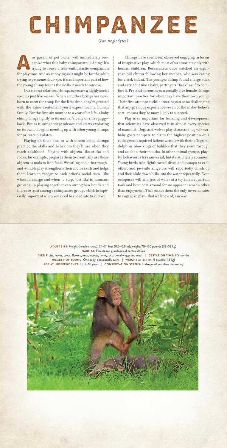 Babies - Photicular Book