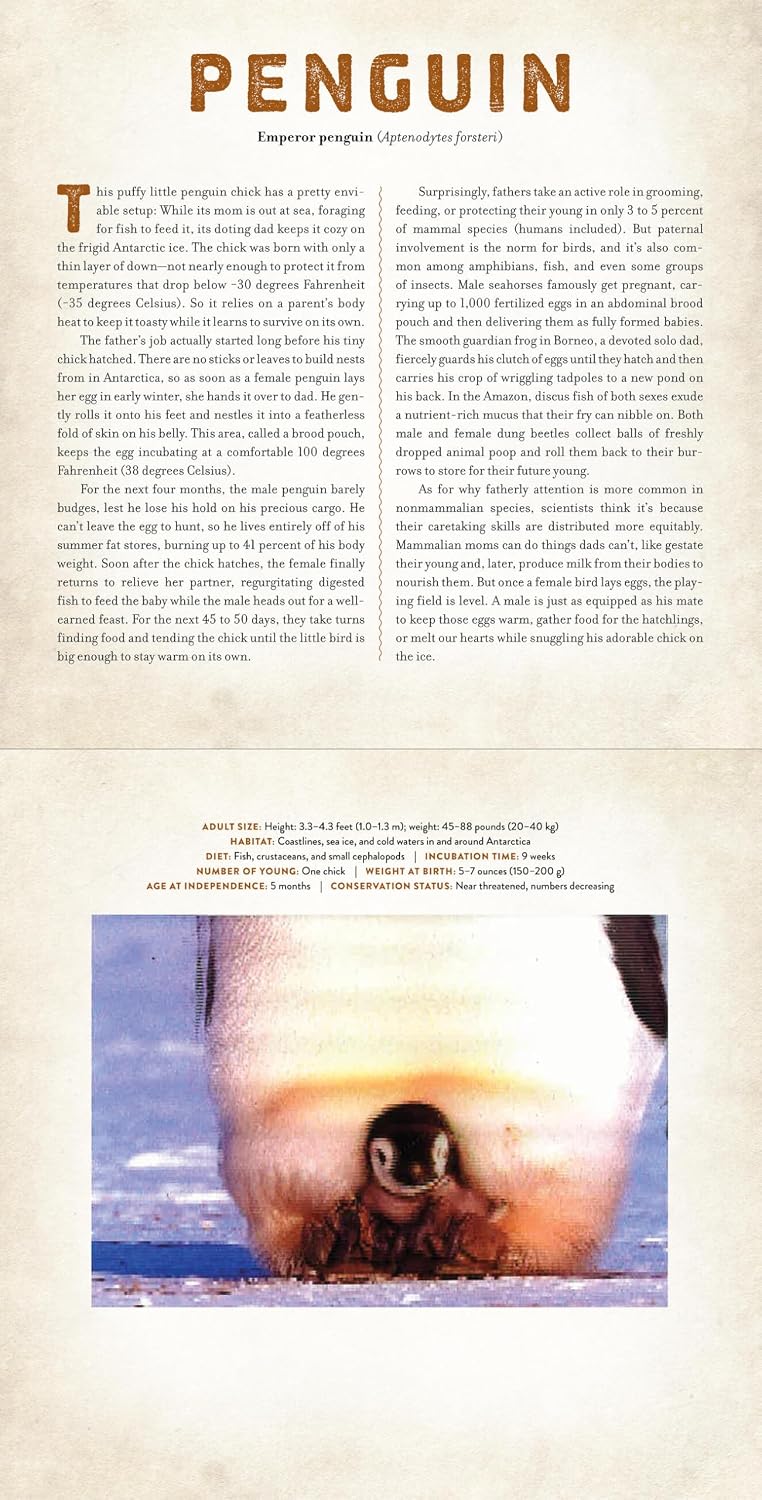 Babies - Photicular Book