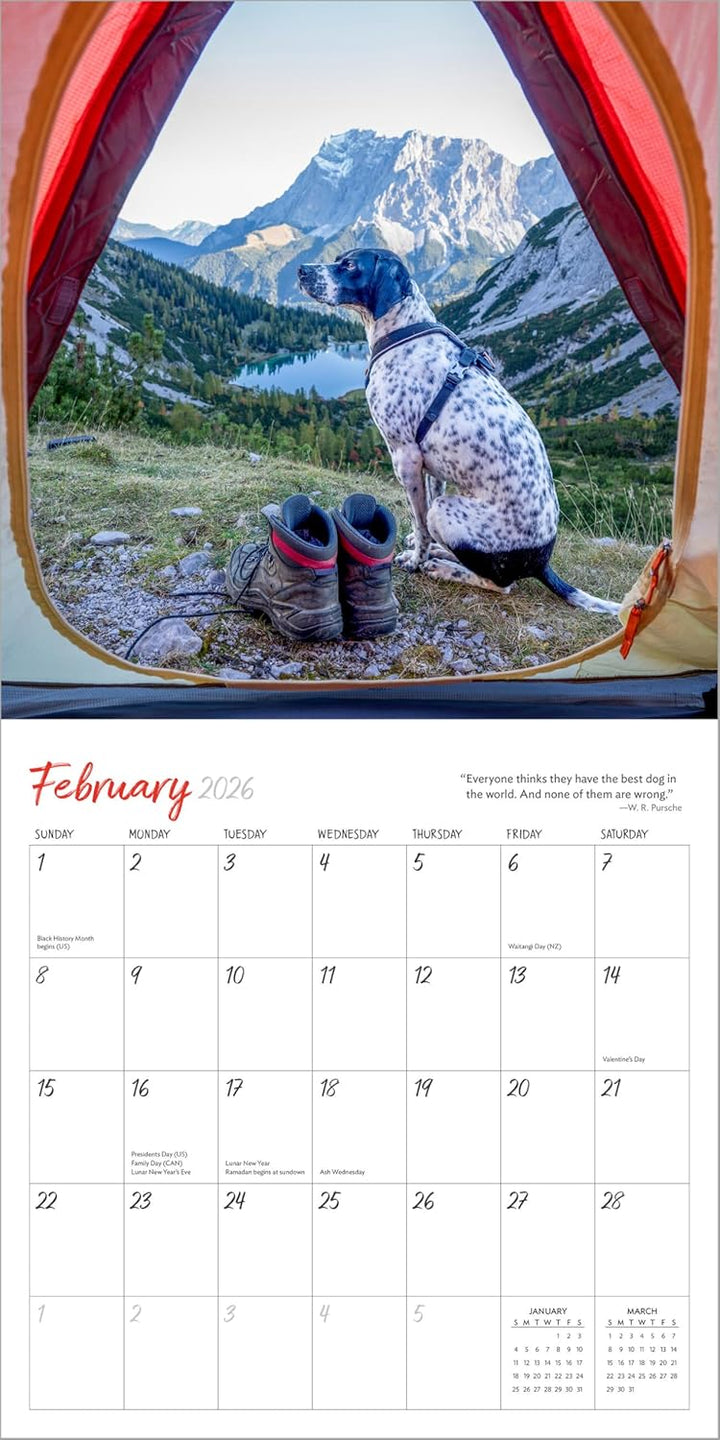 Wall Calendar 2026: Dogs On Vacation