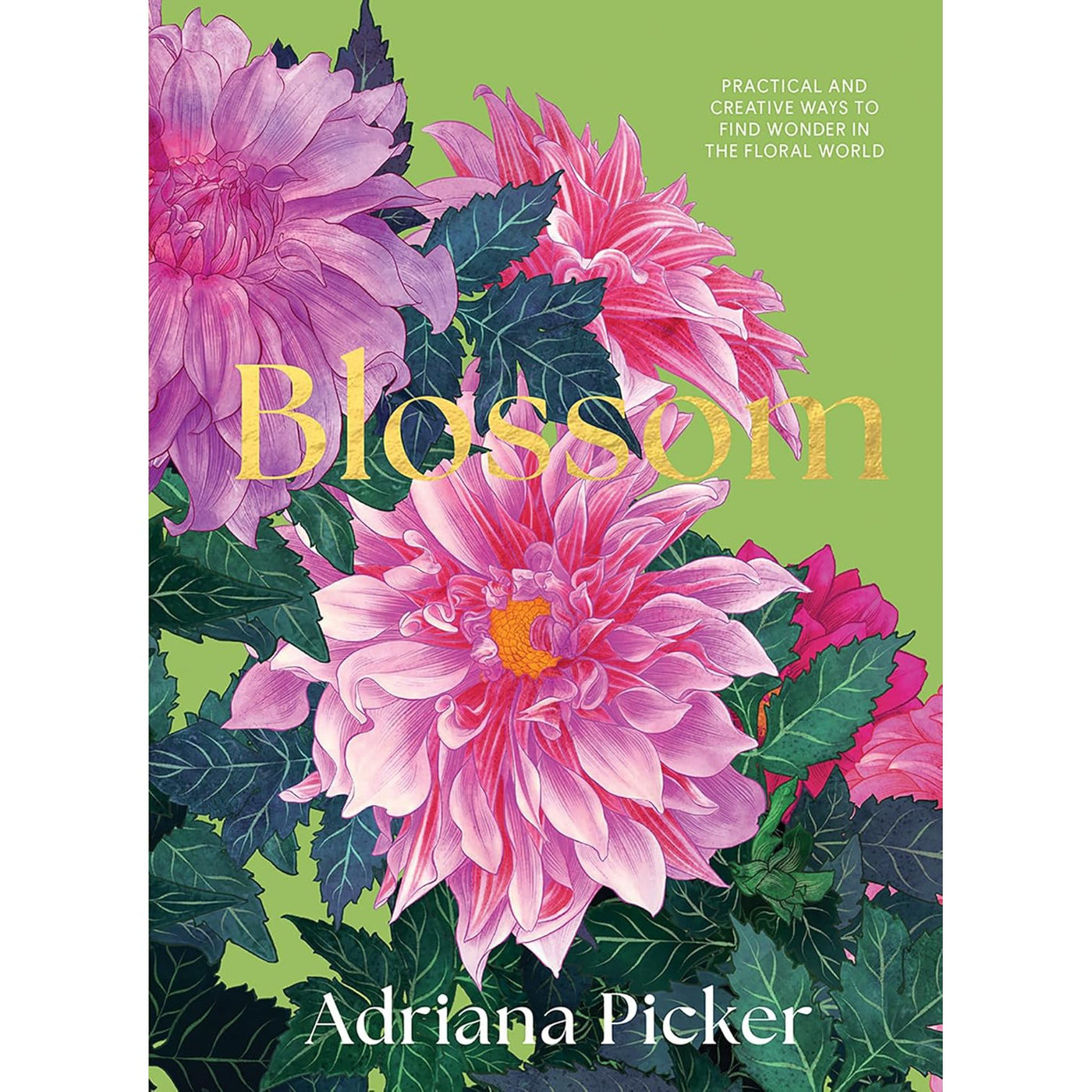 Blossom: Practical And Creative Ways To Find Wonder In The Floral World