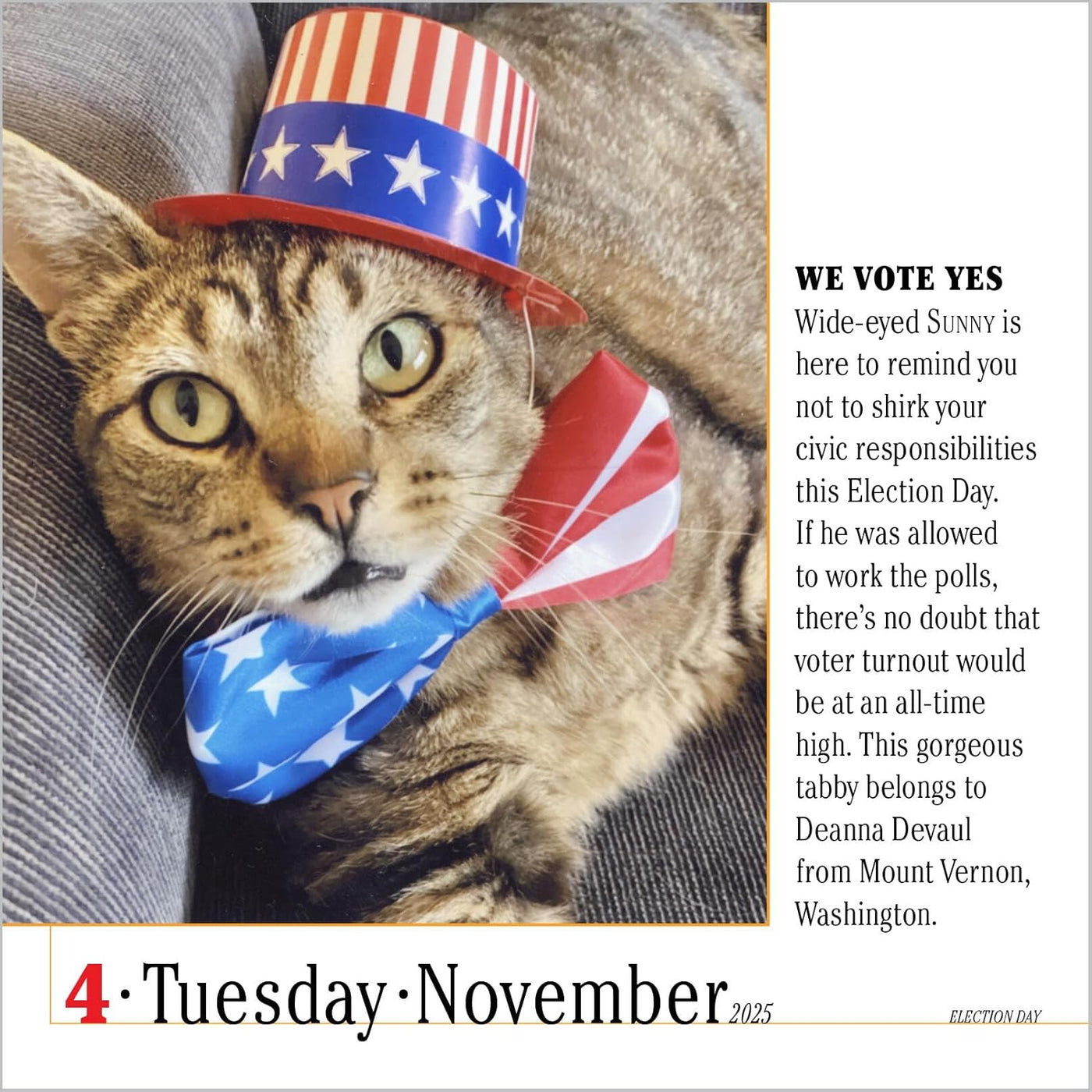 365 Cats Page-A-Day Calendar 2025