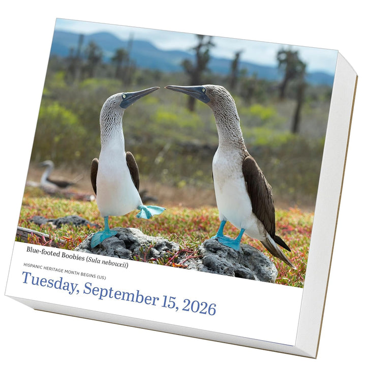 Page-A-Day Calendar 2026: Audubon Birds