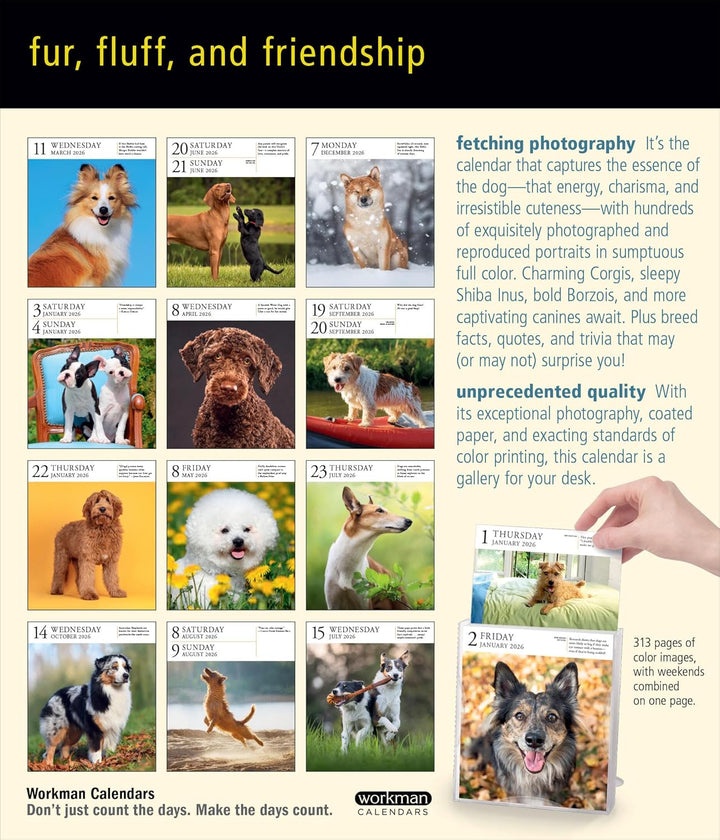 Page-A-Day Gallery Calendar 2026: Dogs