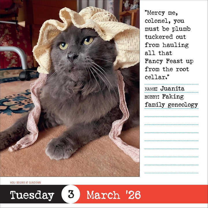 Page-A-Day Calendar 2026: Bad Cat