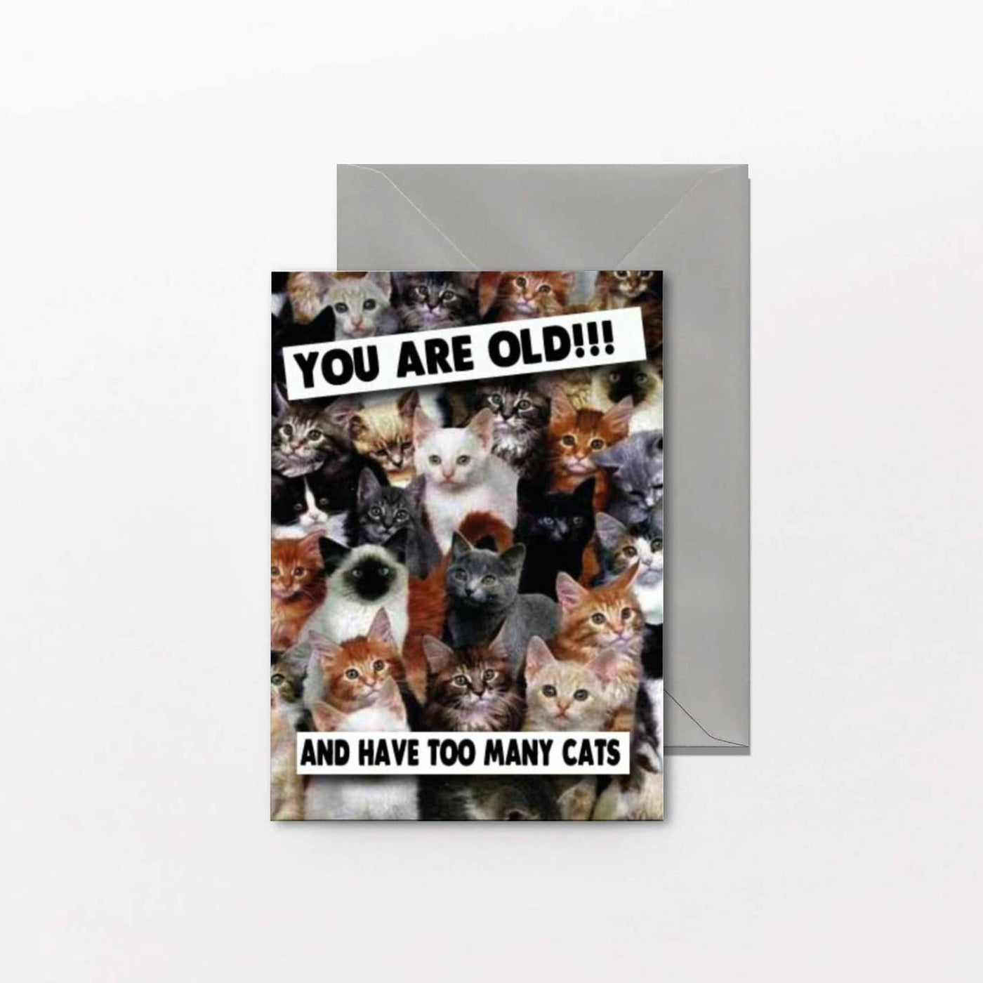 You Are Old Too Many Cats Birthday Card