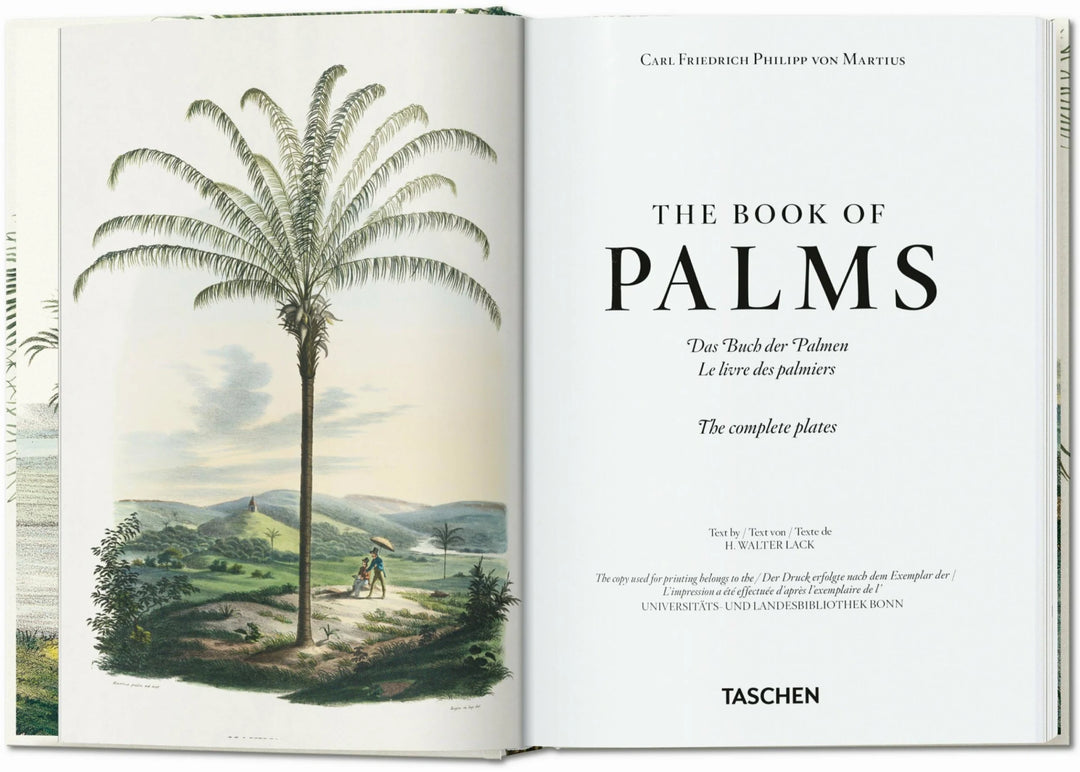 45th Anniversary: The Book Of Palms